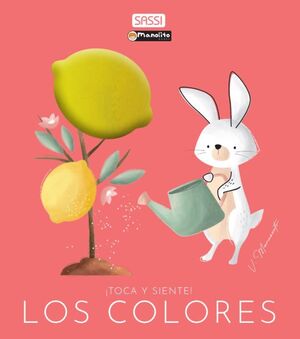 COLORES TOCA Y SIENTE