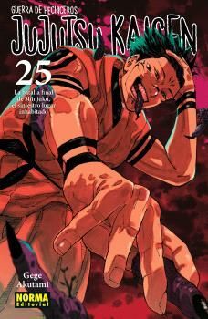 JUJUTSU KAISEN 25:GUERRA DE HECHICEROS